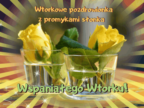 Wspaniałego wtorku pozdrowienia